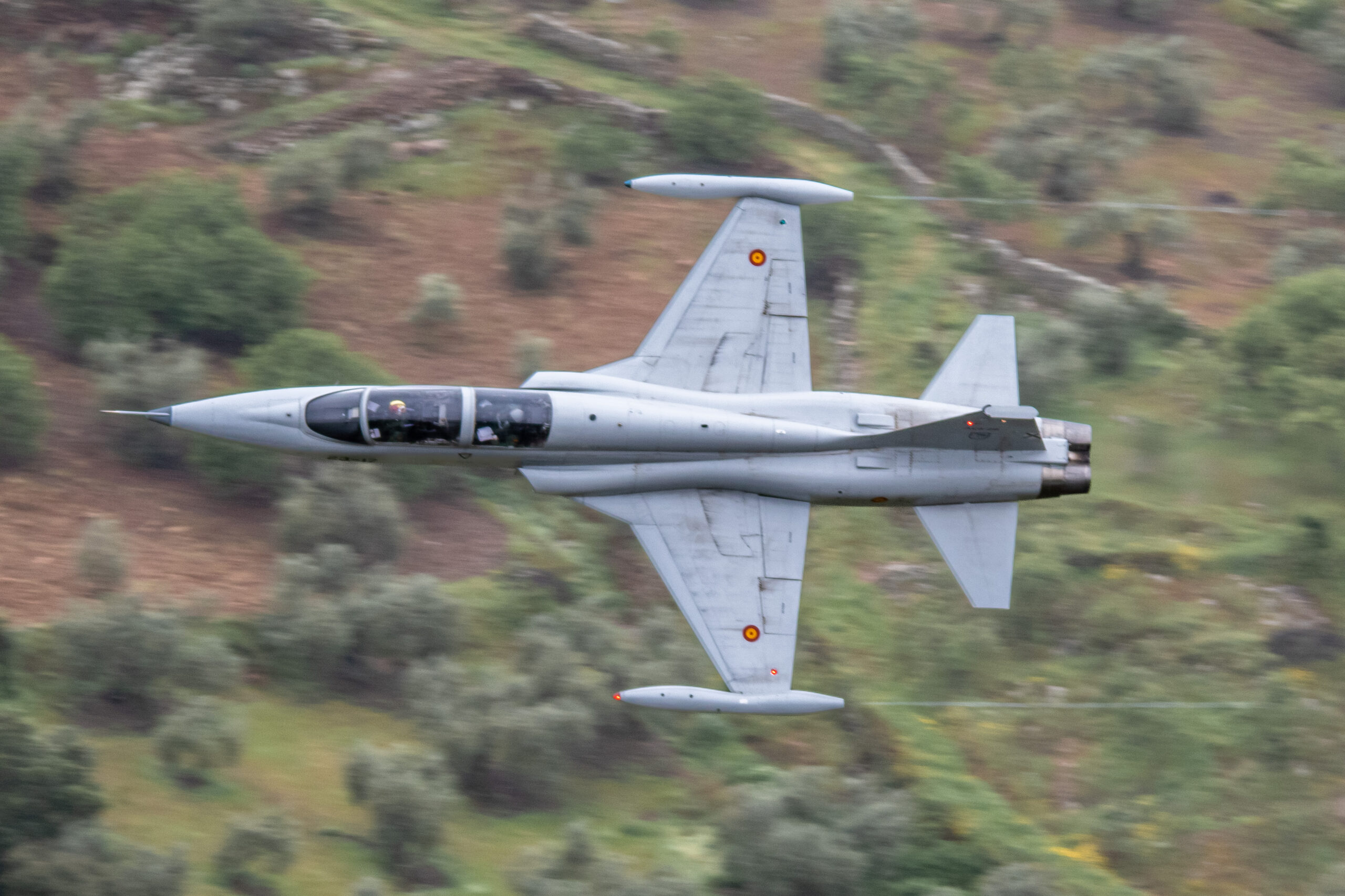 Extremachloop